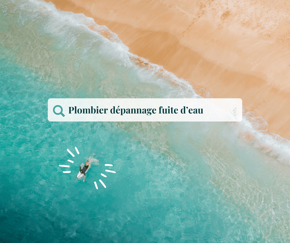 Recherche moteur de recherche