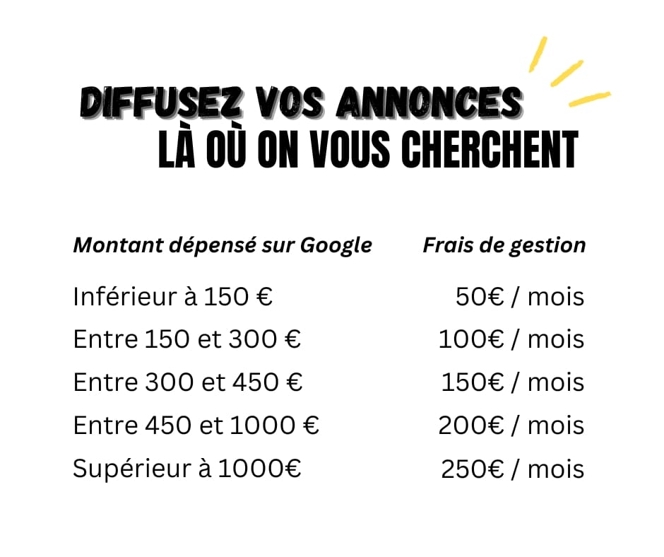 Référencement payant Google Instagram Facebook